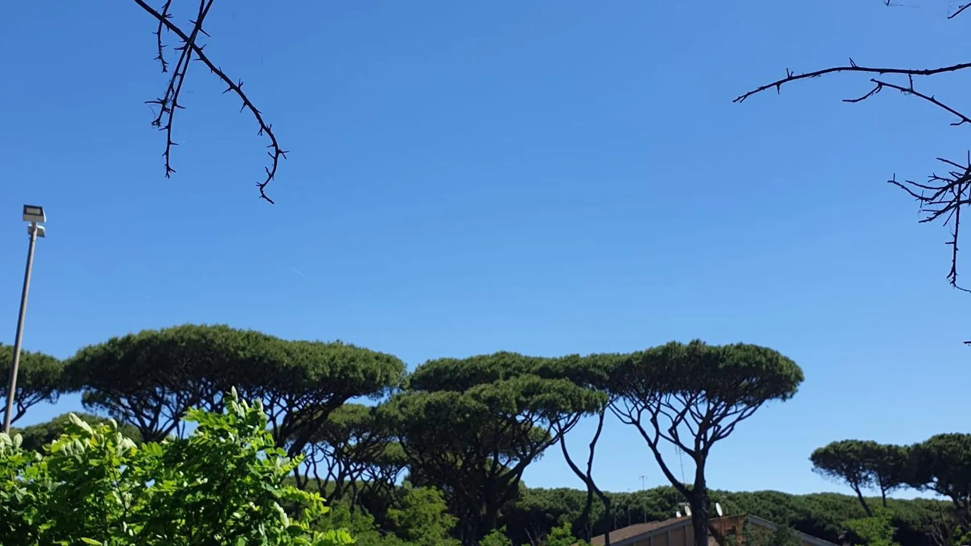 La Casa Di Ale Apartment Lido di Ostia Italy